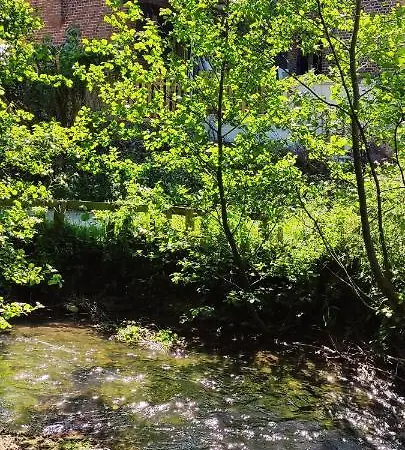 Dom wakacyjny Maison 2 Avec Vue Sur Etang Avec Bain Finlandais La Rivière-Saint-Sauveur